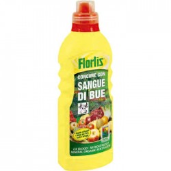 Sangre de Buey