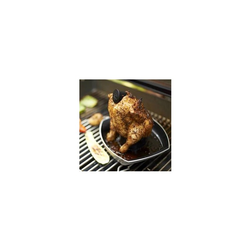 Soporte Para Pollos