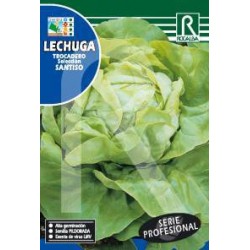 LECHUGA TROCADERO