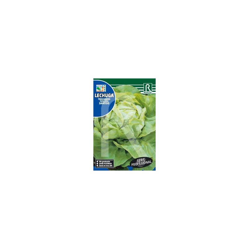 LECHUGA TROCADERO