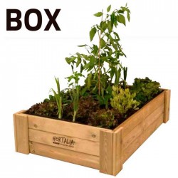 Huerto urbano box