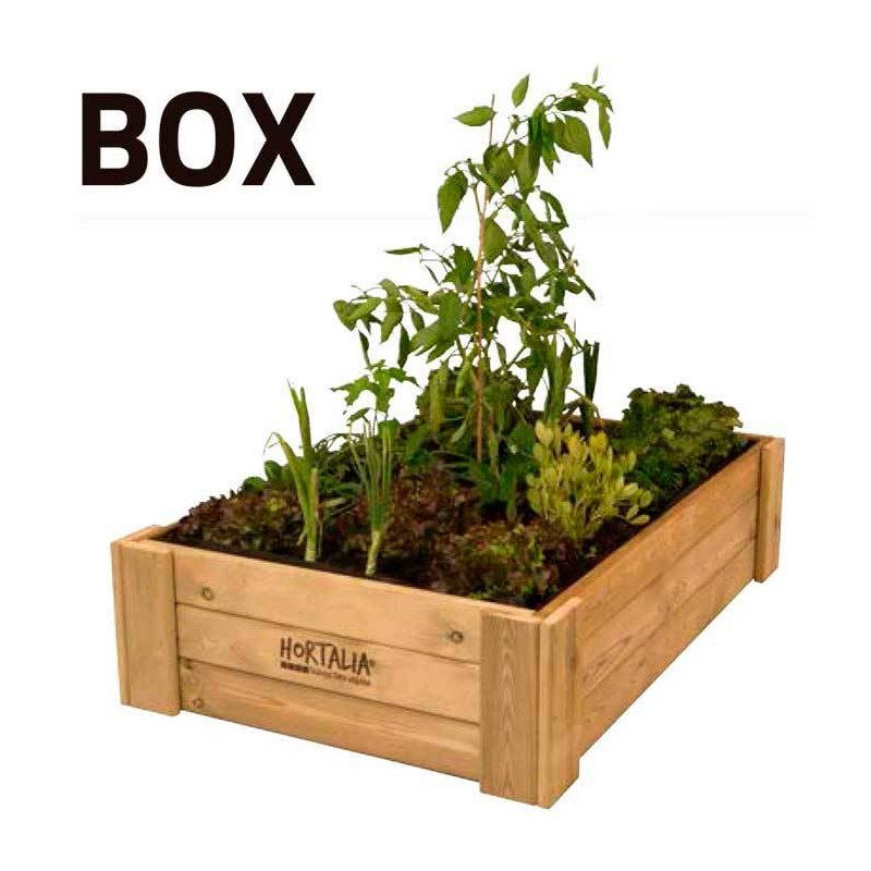 Huerto urbano box