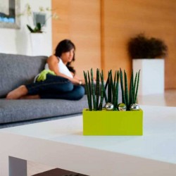 Jardinera Nano Lacadas