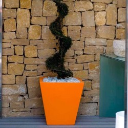 Cono Cuadrado