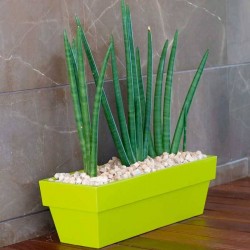Jardinera Cónica 