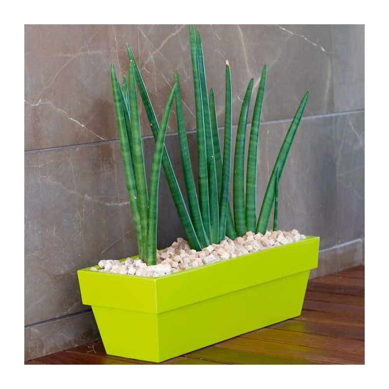 Jardinera Cónica 