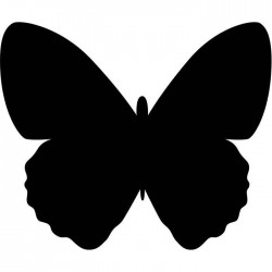 Pizarra pared mariposa
