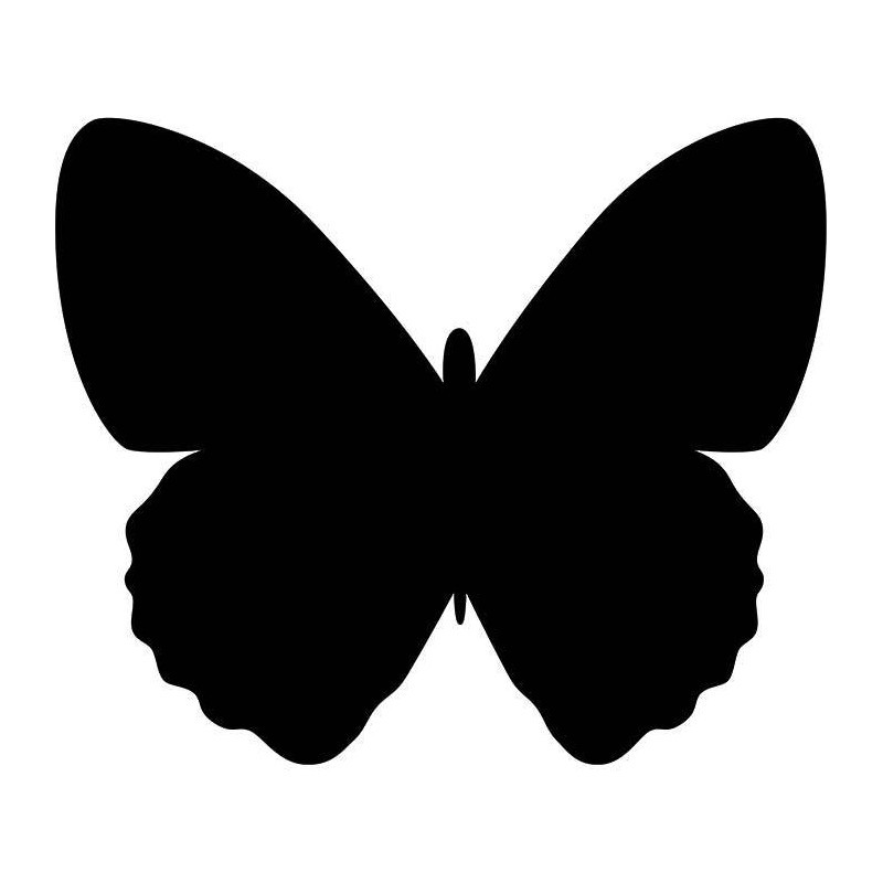Pizarra pared mariposa