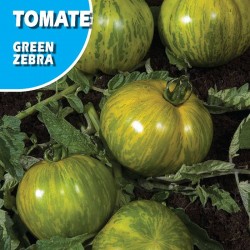 Semillas tomate green zebra