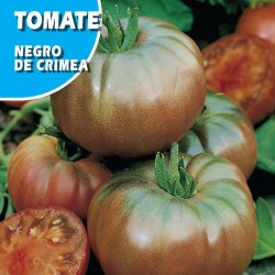 Semillas tomate negro de crimea