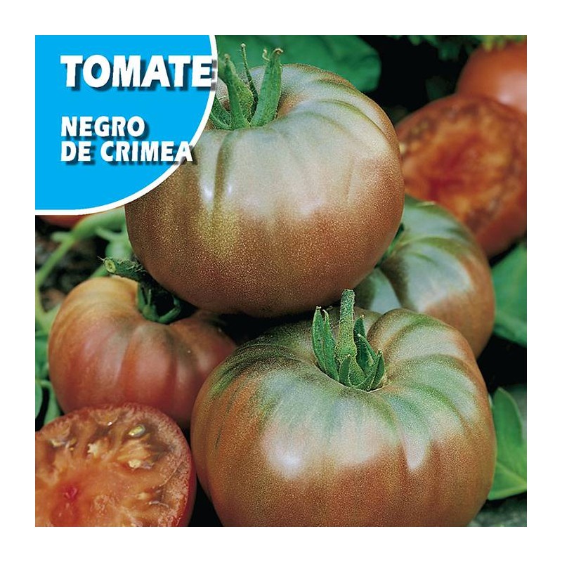 Semillas tomate negro de crimea