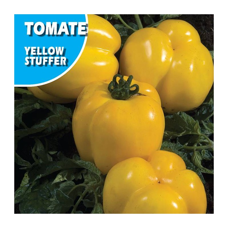 Semillas tomate yellow stuffer