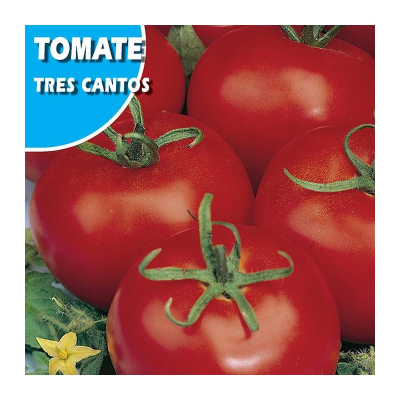 TOMATE TRES CANTOS