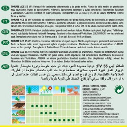 TOMATE ACE 55 VF