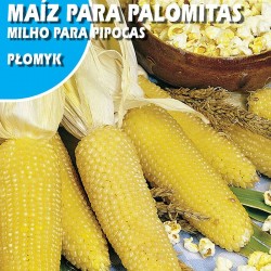 MAIZ DE PALOMITAS