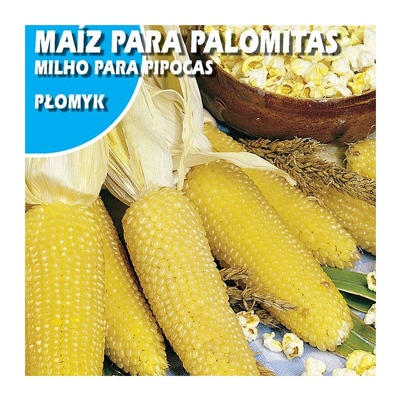MAIZ DE PALOMITAS