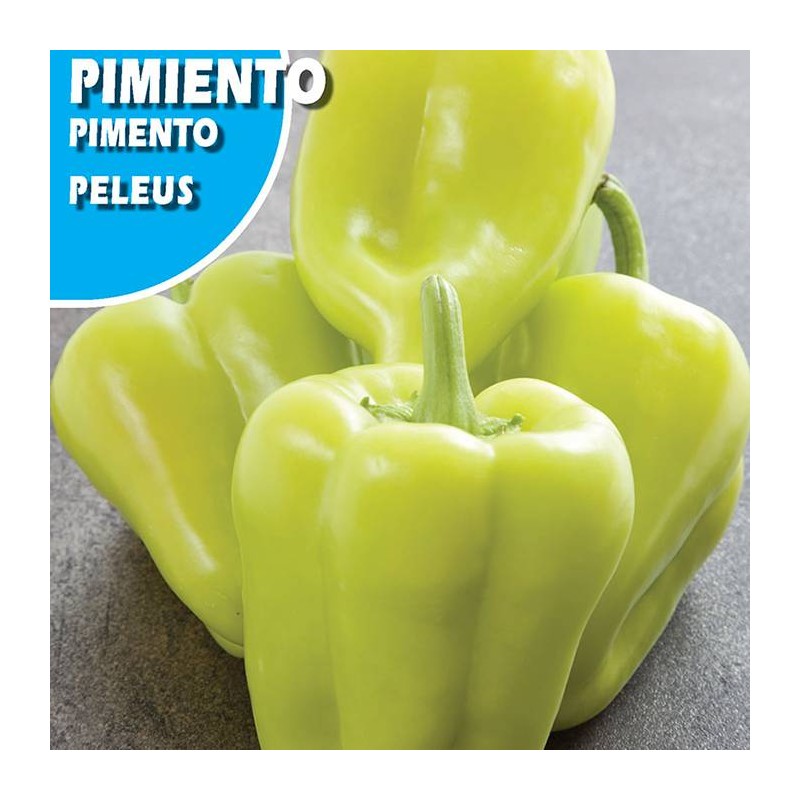 PIMIENTO OIMBRA