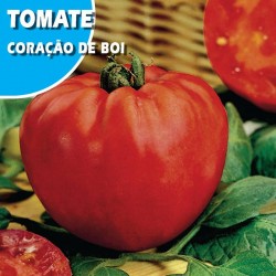 TOMATE CORAÇAO DE BOI
