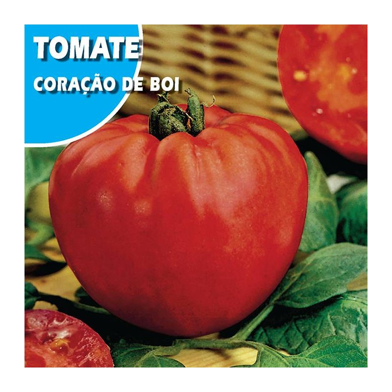 TOMATE CORAÇAO DE BOI