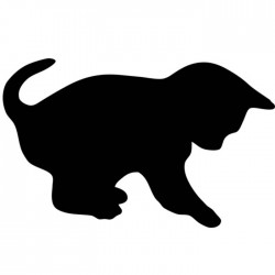 Pizarra pared gato