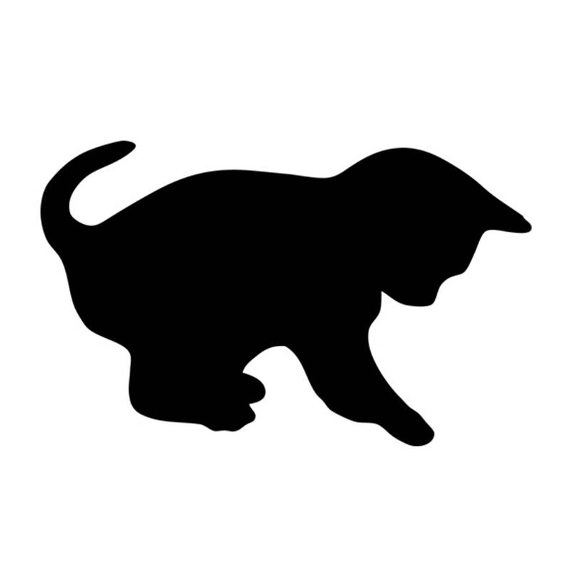 Pizarra pared gato