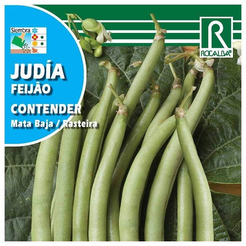 JUDIA CONTENDER