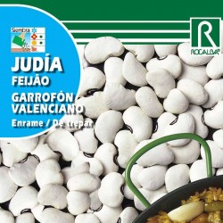 Alubia Garrofon Valenciano