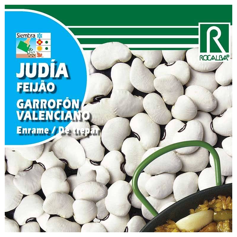 Alubia Garrofon Valenciano