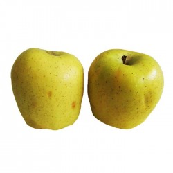Manzano golden delicius