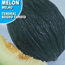 MELON TENDRAL NEGRO TARDIO