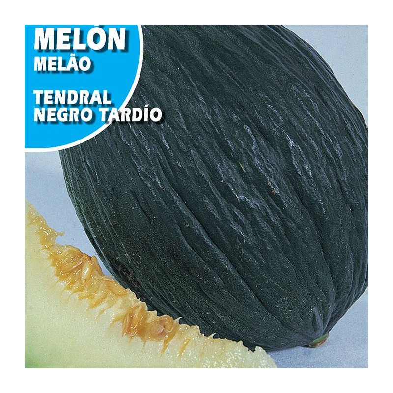 MELON TENDRAL NEGRO TARDIO