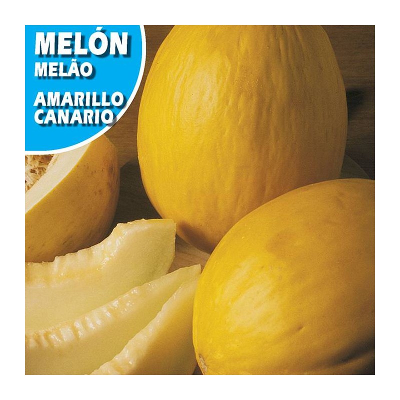 MELON AMARILLO ORO