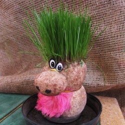 Grass muñeco de hierba