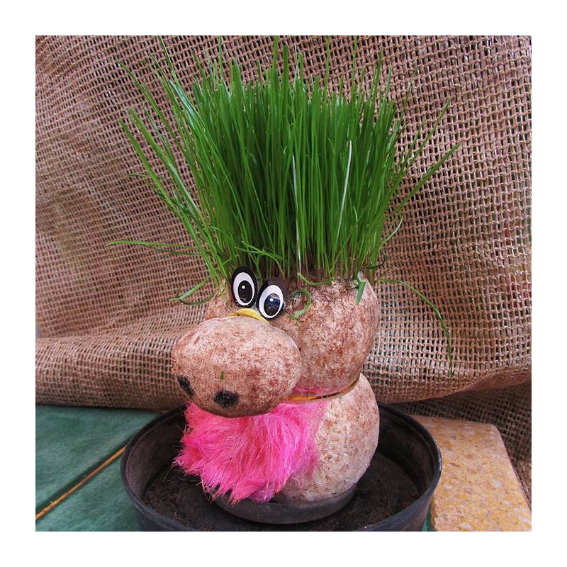 Grass muñeco de hierba