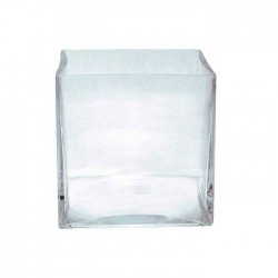 Jarrón cristal cubo.