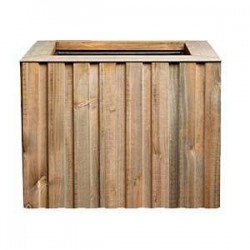 Cubo Forest