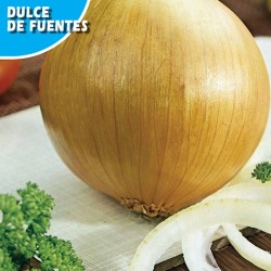 Semillas cebolla dulce de fuentes