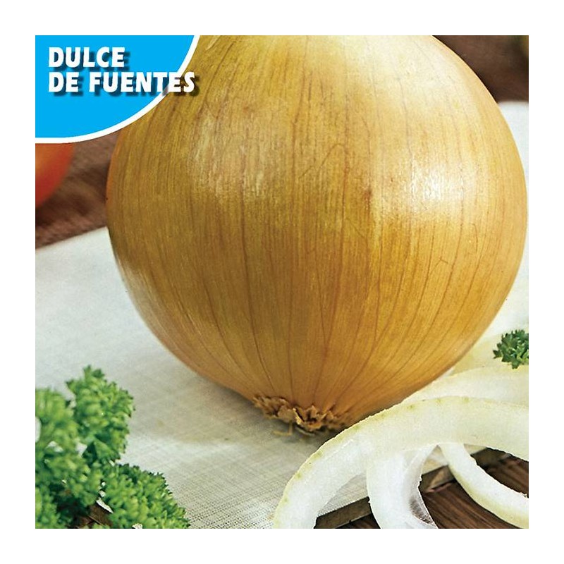 Semillas cebolla dulce de fuentes