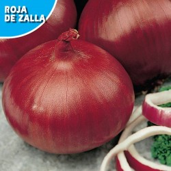 CEBOLLA ROJA DE ZALLA