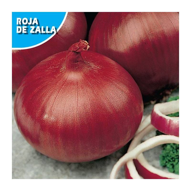 CEBOLLA ROJA DE ZALLA