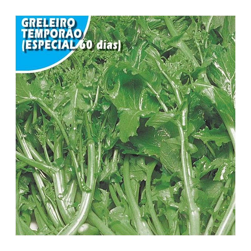 NABO TEMPORAO DE GRELOS