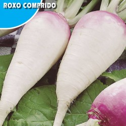 Nabo Roxo Comprimido