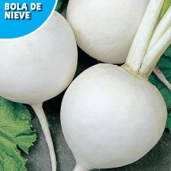 NABO DE MESA BOLA DE NIEVE