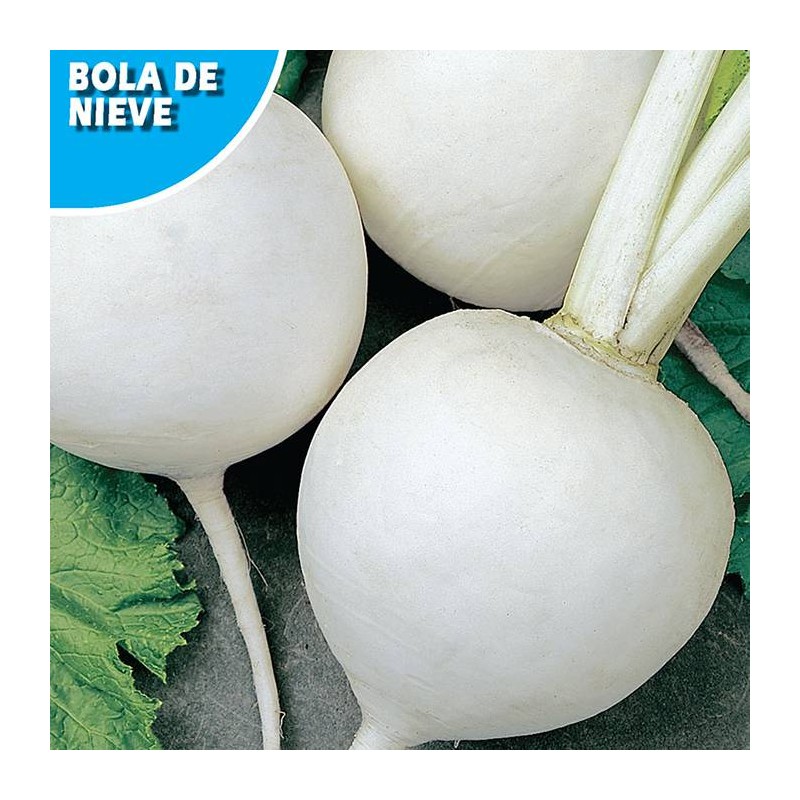 NABO DE MESA BOLA DE NIEVE