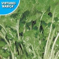 Nabo Virtudes Nabiça
