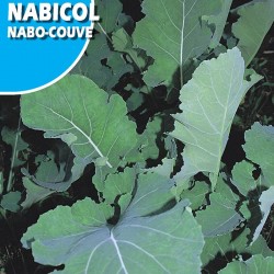 Nabo Nabicol