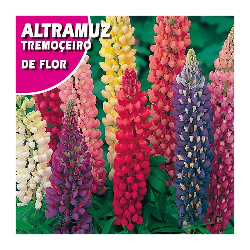 ALTRAMUZ DE FLOR VARIADA