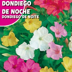 Semillas dondiego de noche...