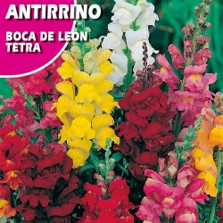 ANTIRRINO BOCA DE LEON "TETRA"
