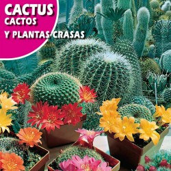 CACTUS Y PLANTRAS GRASAS
